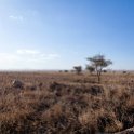 TZA ARU Shinyanga 2016DEC23 RoadB144 009 : 2016, 2016 - African Adventures, Africa, Date, December, Eastern, Month, Places, Road B144, Serengeti National Park, Shinyanga, Tanzania, Trips, Year